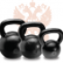 Kettlebell Training, Micro Niche site